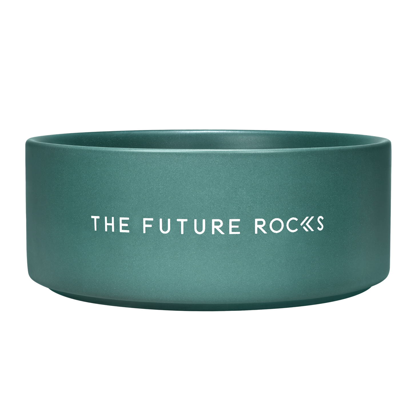 THE FUTURE ROCKS Pet Bowl