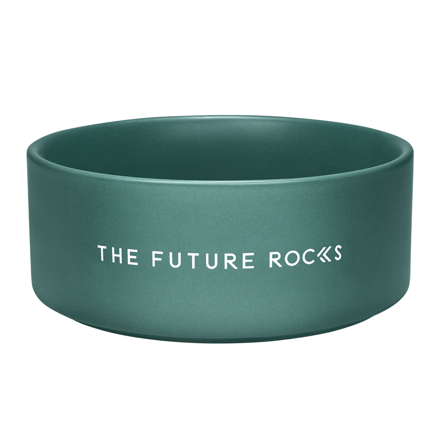 THE FUTURE ROCKS Pet Bowl