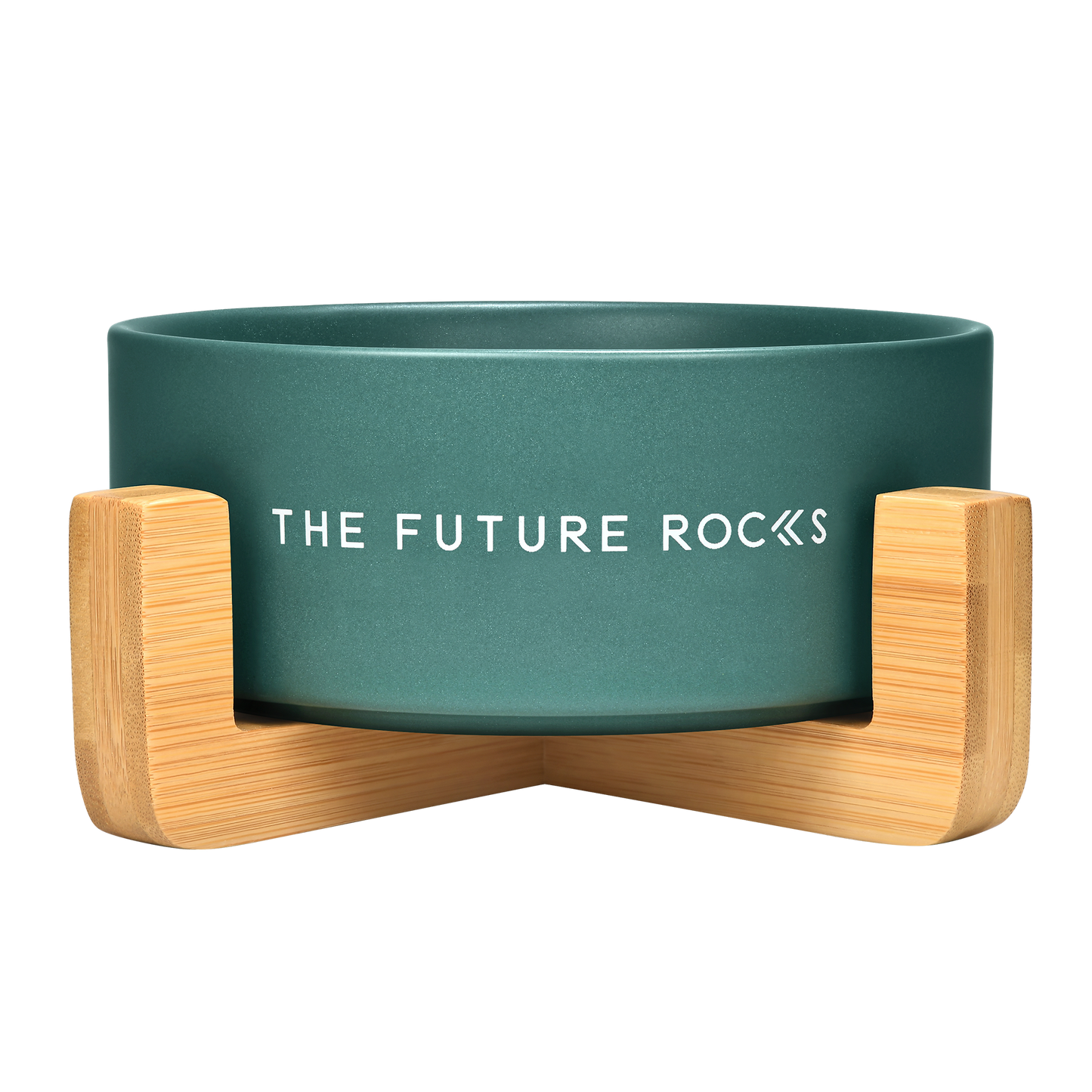 THE FUTURE ROCKS Pet Bowl