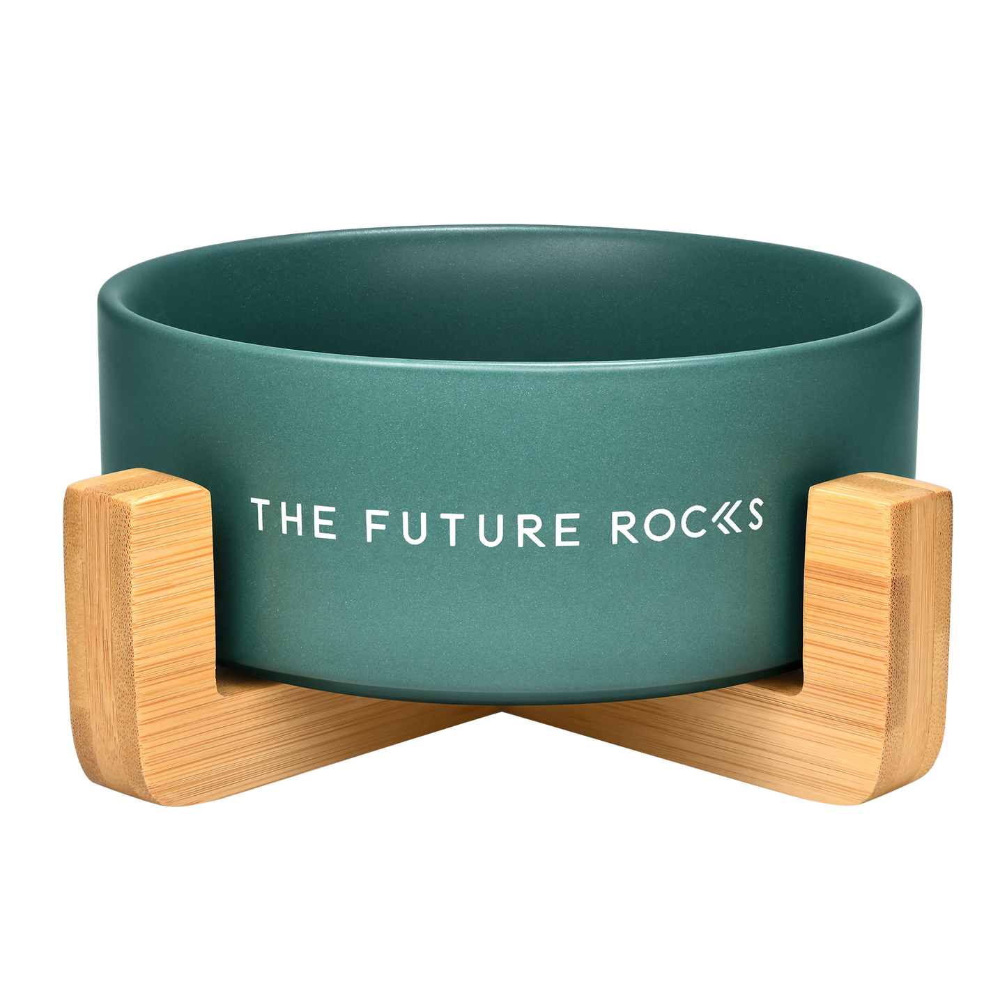 THE FUTURE ROCKS Pet Bowl