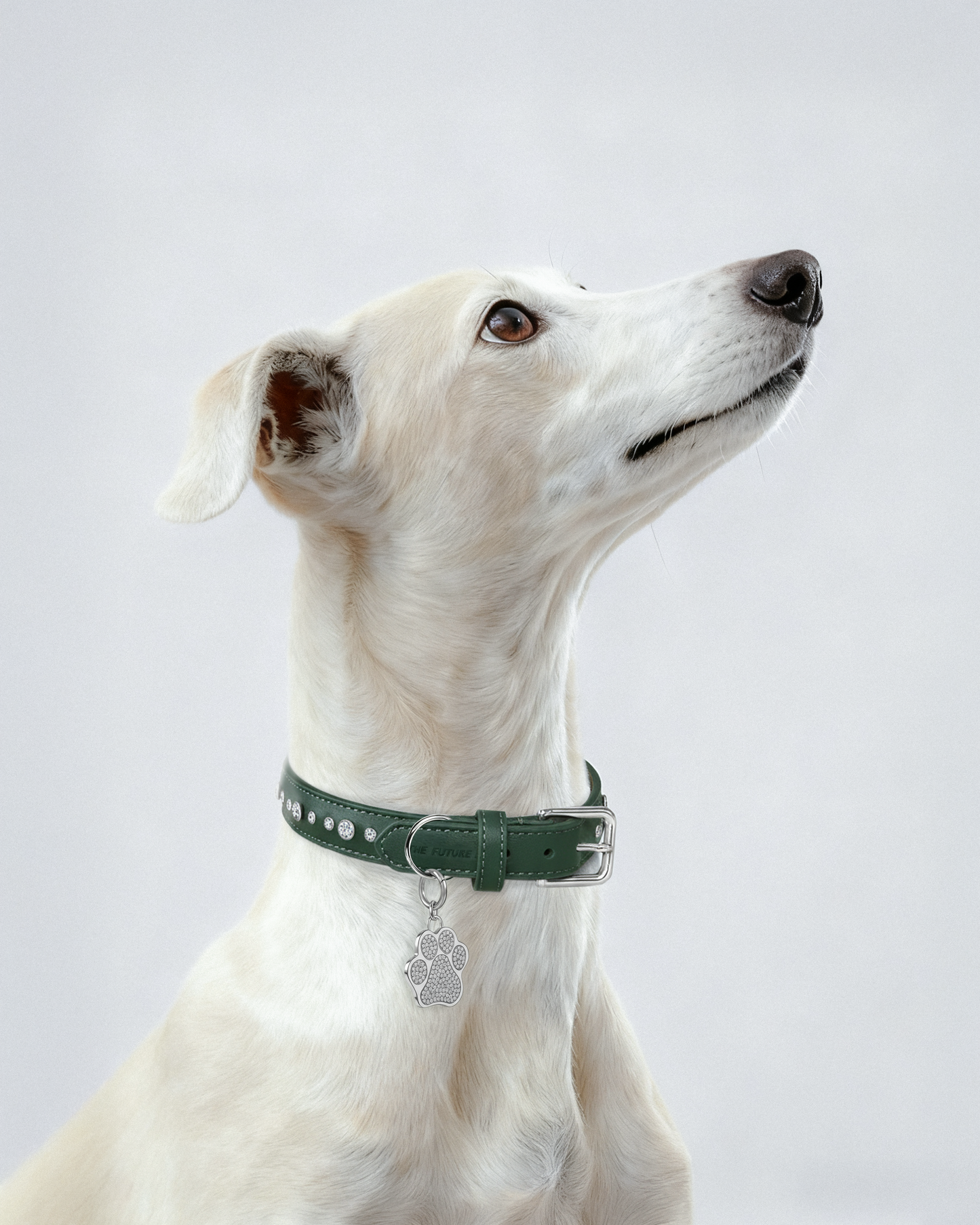 THE FUTURE ROCKS vegan leather collar with lab-grown sapphire - Green