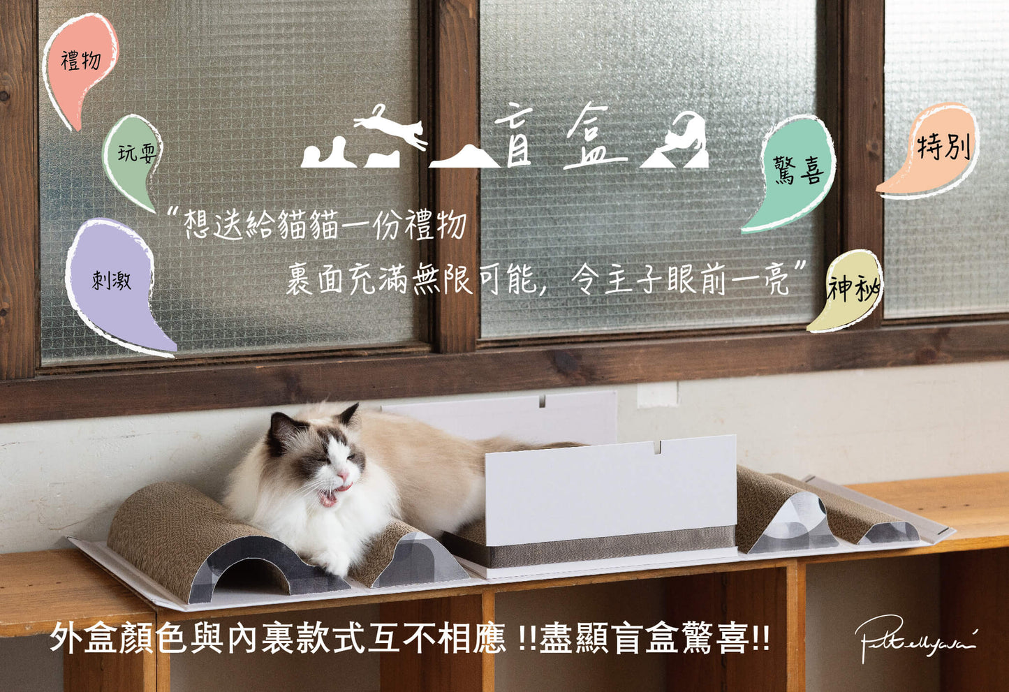 Pettellyava' Mystery Box Cats scratching boards designed with multi functions