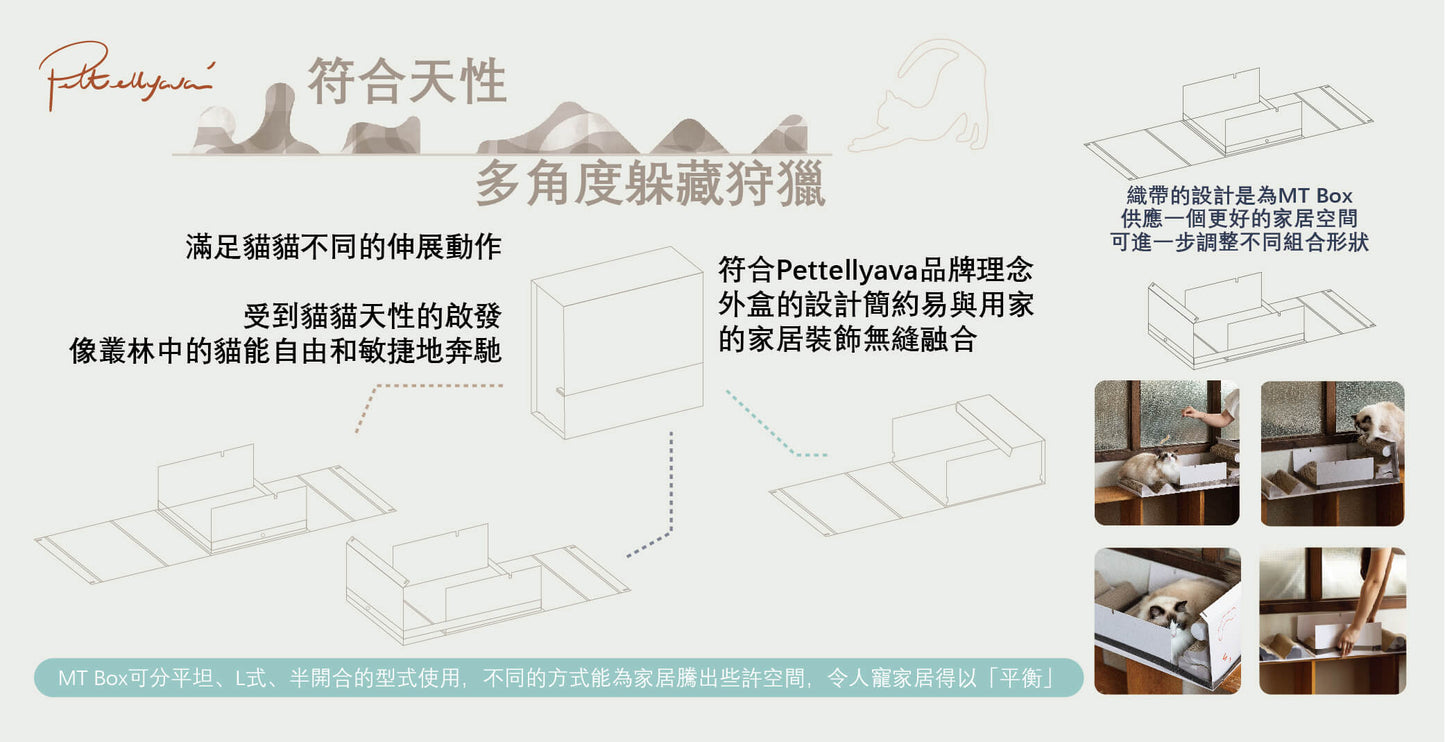 Pettellyava' Mystery Box Cats scratching boards designed with multi functions