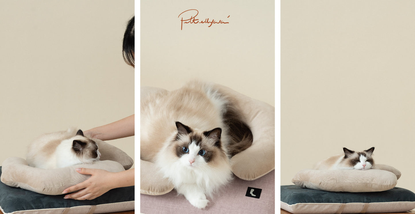 Pettellyava' Surro Pet Bed