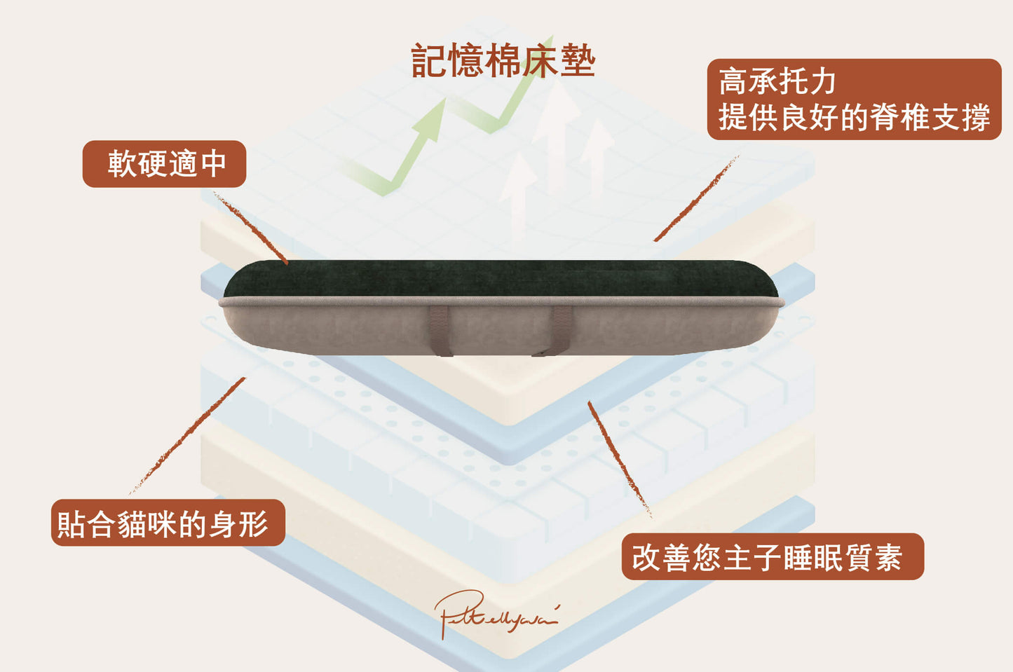 Pettellyava' Surro Pet Bed