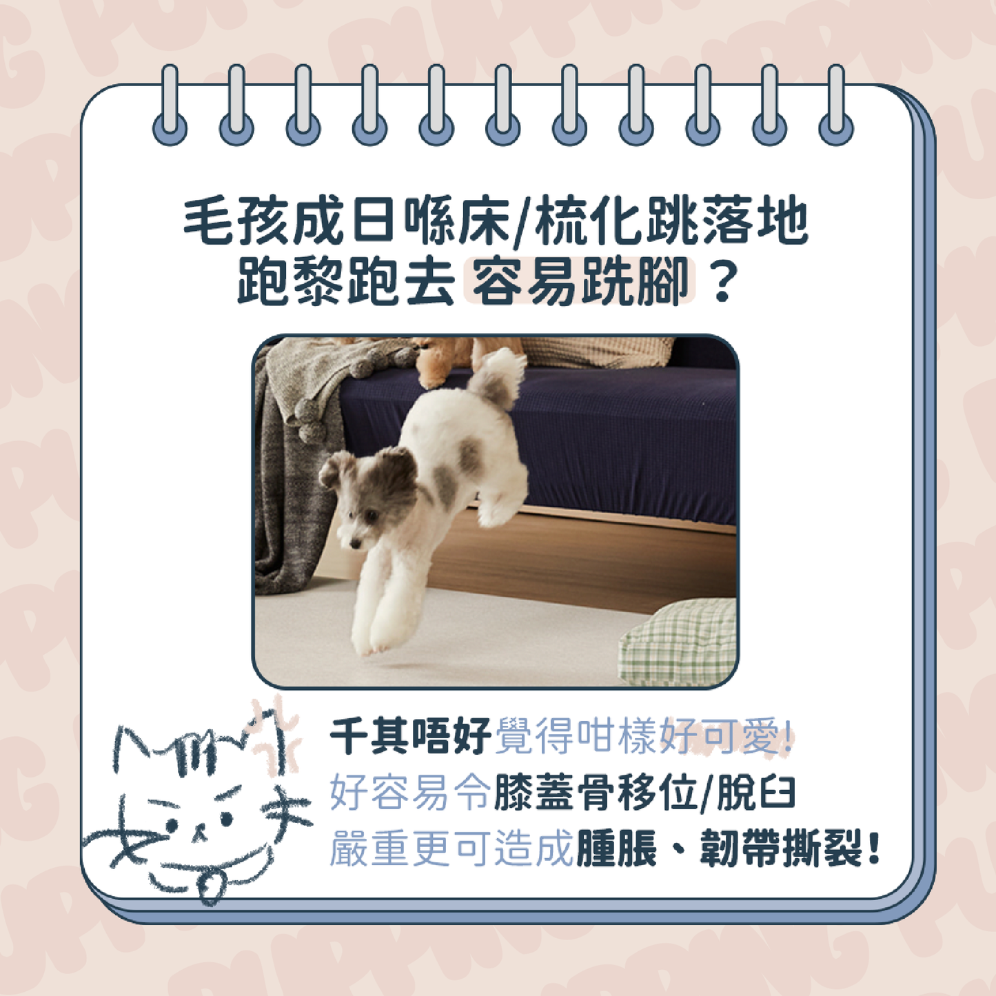 Pupping non slip waterproof pet mat