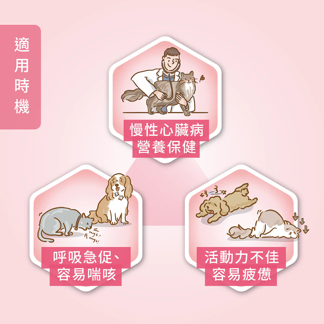 HeartFight 日常照護型 藻心沛 (小劑量310mg) 30 粒